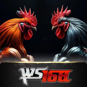 ws168 -  betplay138