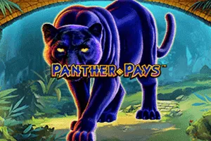 Playtech : Panther Pays - BETPLAY138
