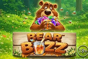 Playtech : Bear Buzz - BETPLAY138