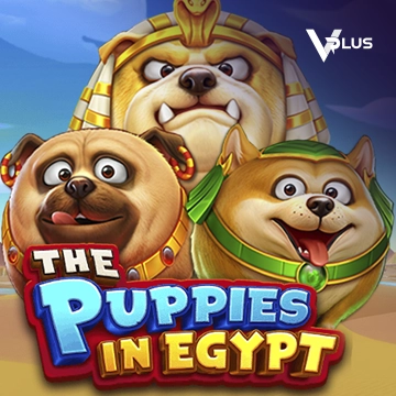 Vplus : The Puppies In Egypt - BETPLAY138